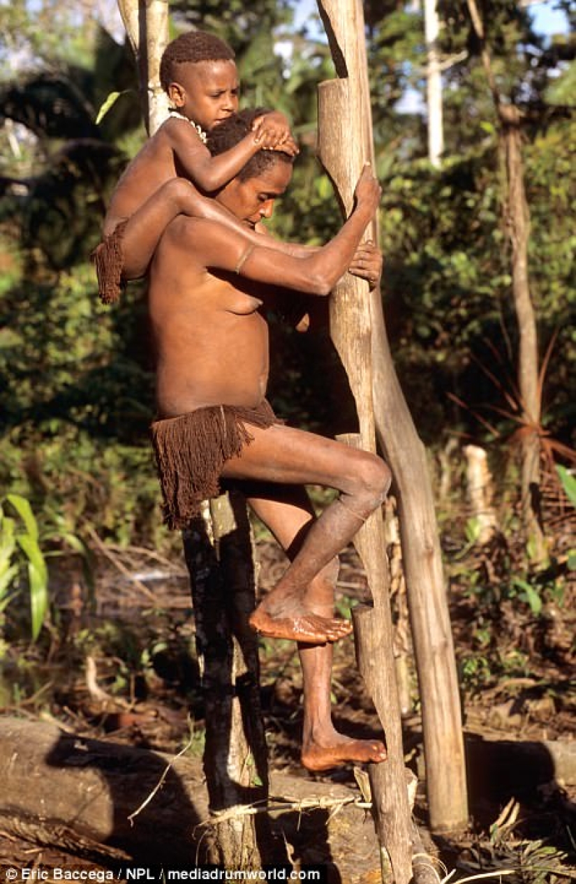 Korovai — a mysterious tribe of cannibals, who recently learned about civilization