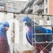 Kurls-kurls? Street Artist Super A and his Giant Pigeons