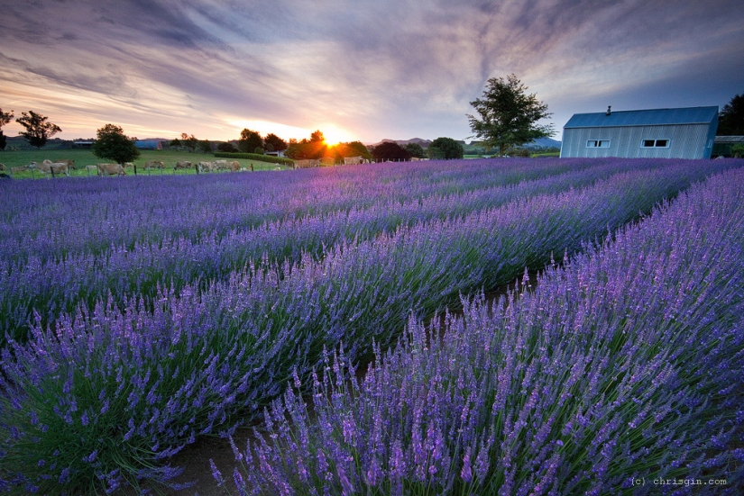 La belleza de los paisajes de Nueva Zelanda en la lente de Chris Jean