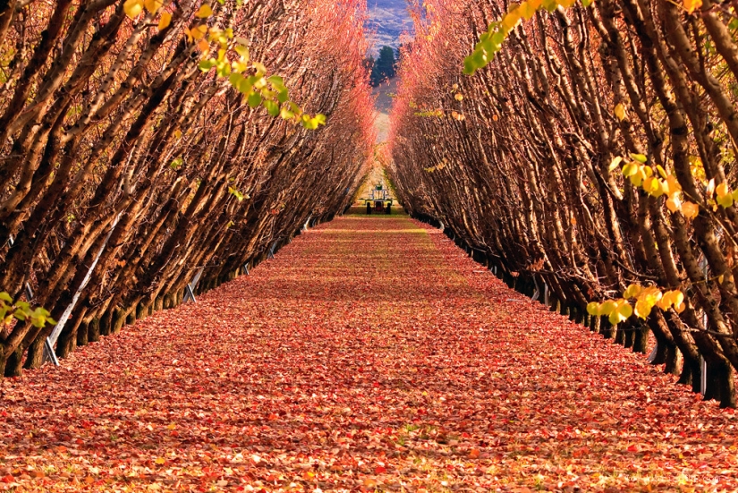 La belleza de los paisajes de Nueva Zelanda en la lente de Chris Jean