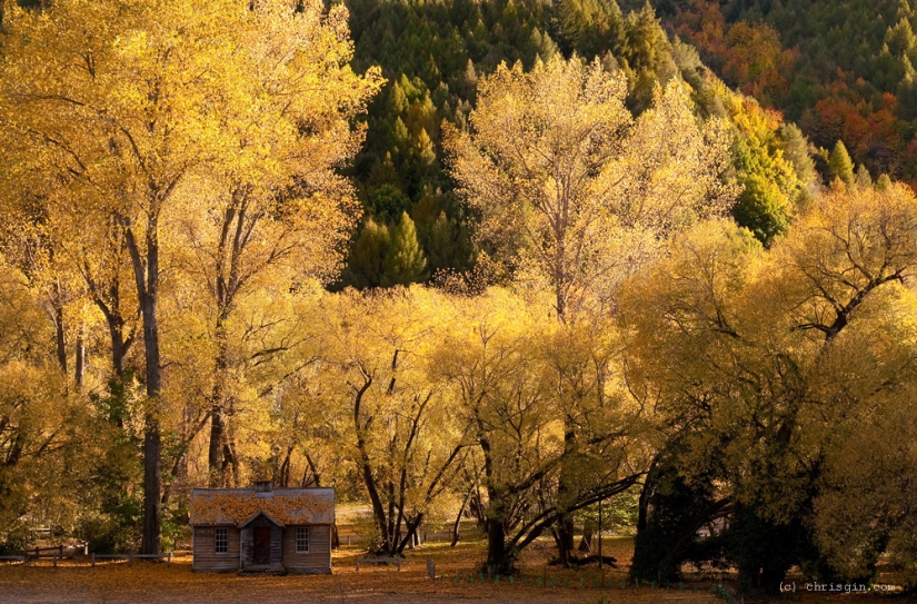 La belleza de los paisajes de Nueva Zelanda en la lente de Chris Jean