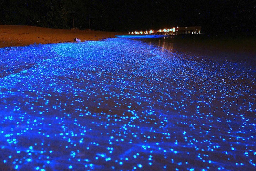 La belleza de playas resplandecientes como el cielo estrellado