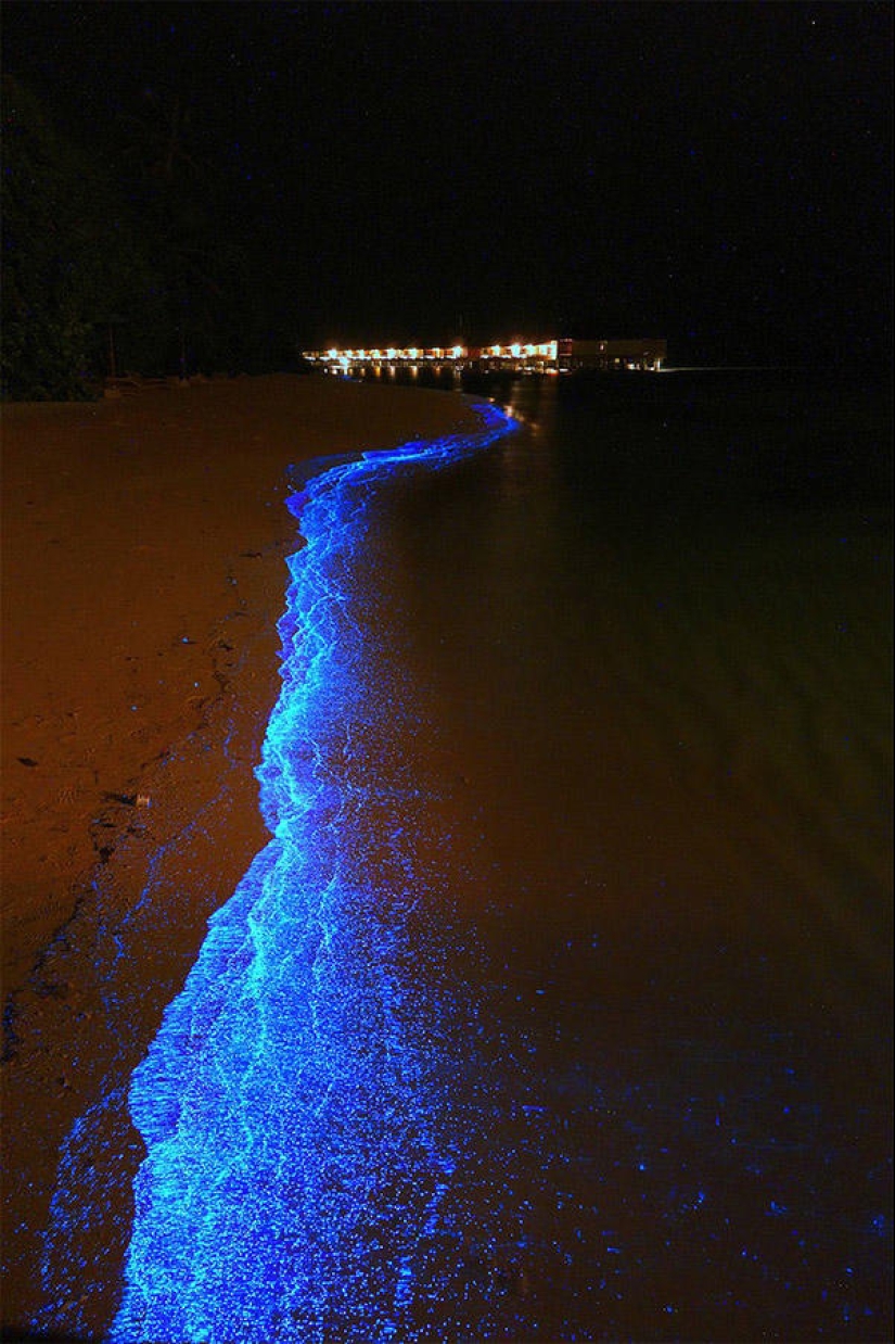 La belleza de playas resplandecientes como el cielo estrellado