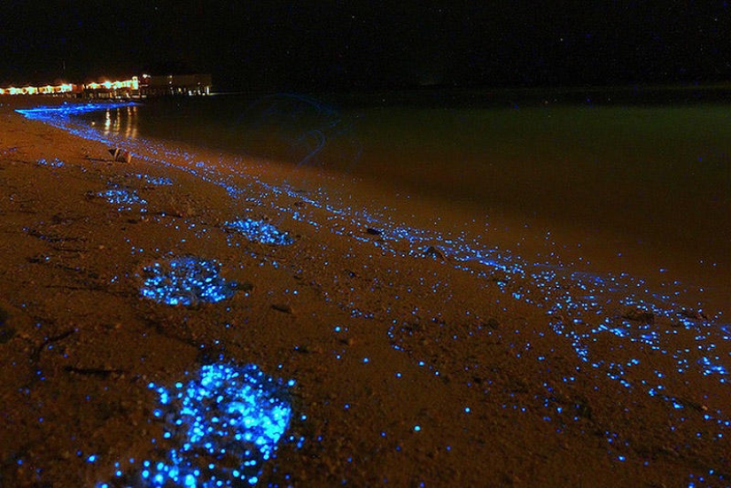 La belleza de playas resplandecientes como el cielo estrellado