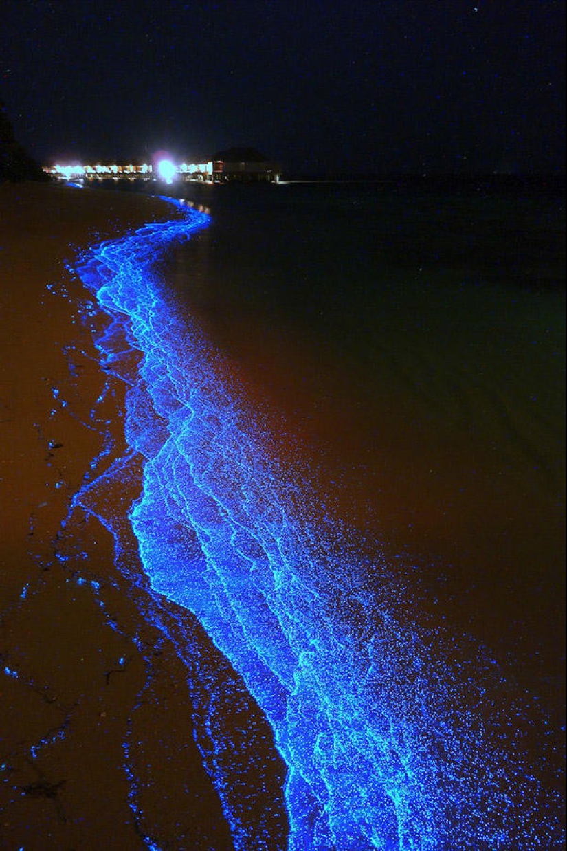 La belleza de playas resplandecientes como el cielo estrellado