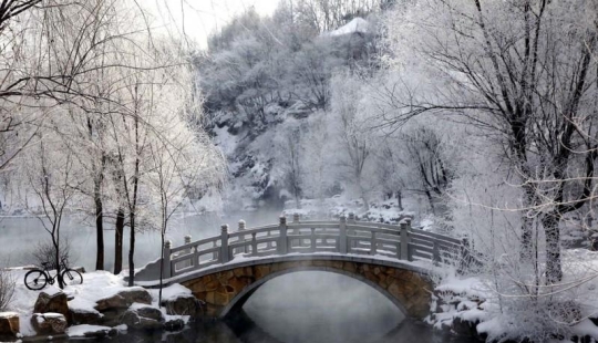 La belleza del invierno