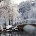 La belleza del invierno