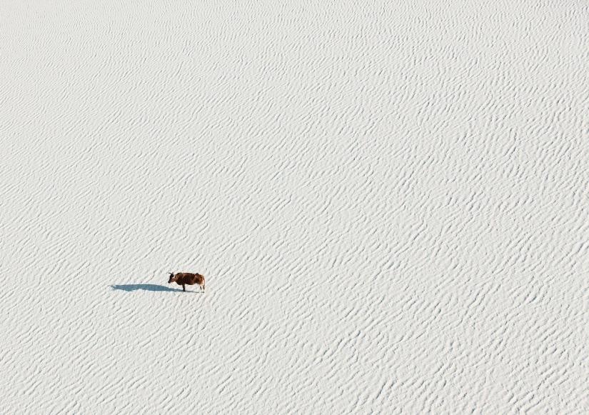 La belleza prístina de África en increíbles fotos aéreas