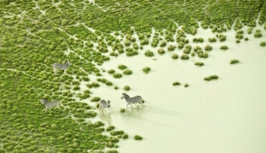 La belleza prístina de África en increíbles fotos aéreas