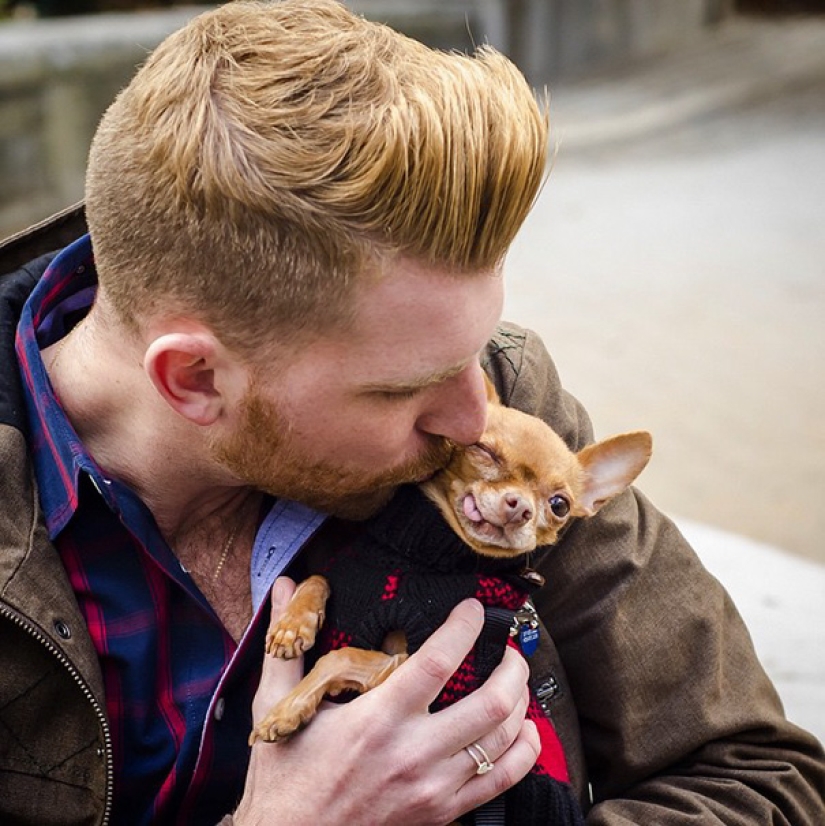 La felicidad de los perros viejos que fueron sacados de la calle