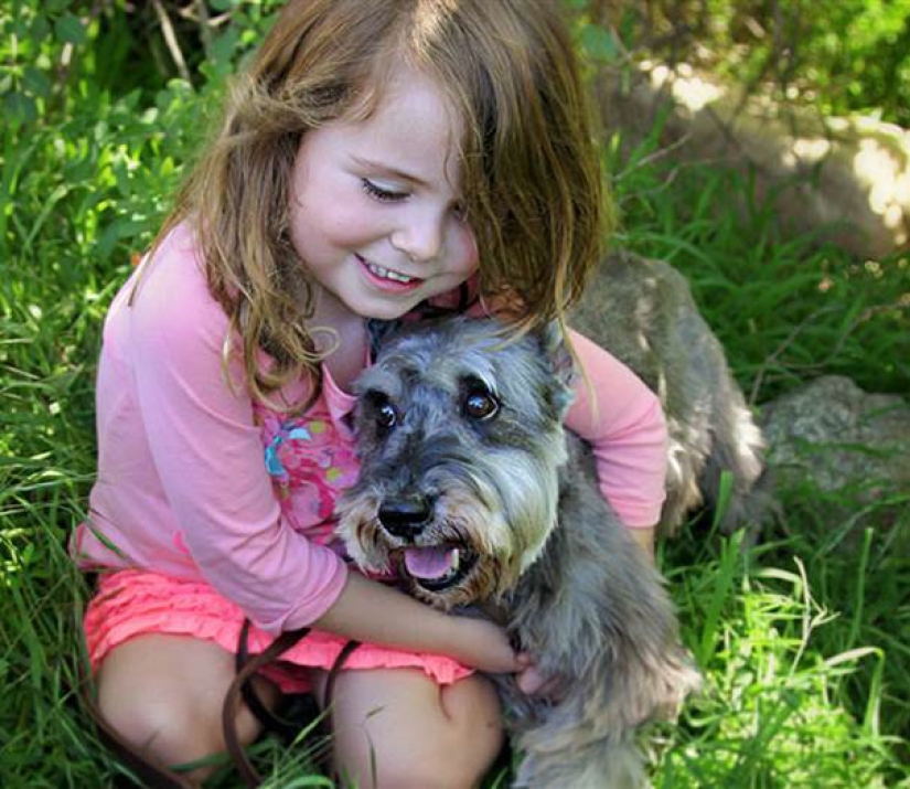 La felicidad de los perros viejos que fueron sacados de la calle