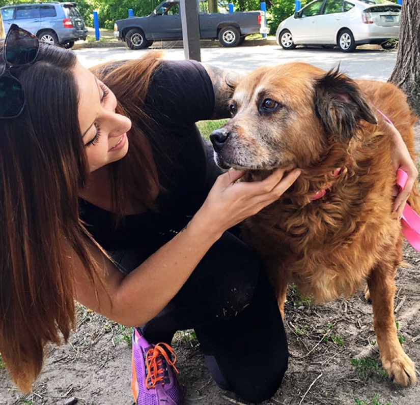 La felicidad de los perros viejos que fueron sacados de la calle