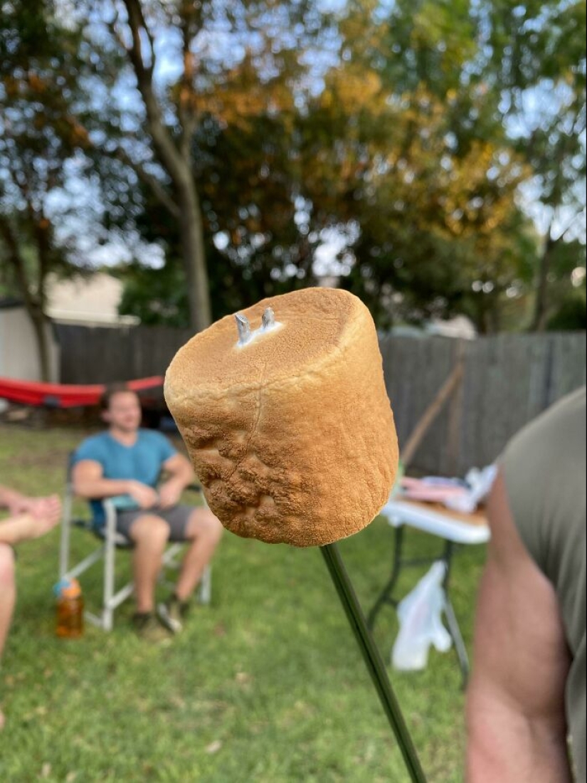 La gente comparte fotos de comida casi perfecta, aquí están los 50 más bellos