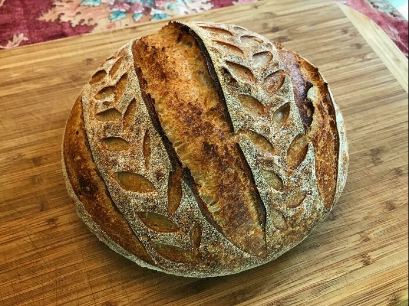 La gente comparte fotos de comida casi perfecta, aquí están los 50 más bellos