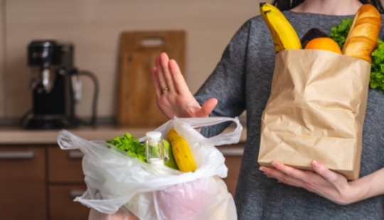 La historia de la bolsa de bolsas: cómo los preciosos envases se convirtieron en enemigos de la humanidad