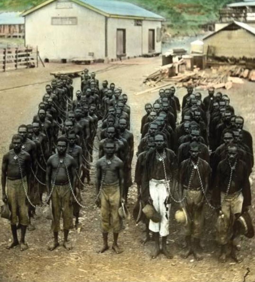 La historia de un genocidio: los aborígenes Australianos eran considerados animales de hasta 1970-erótico