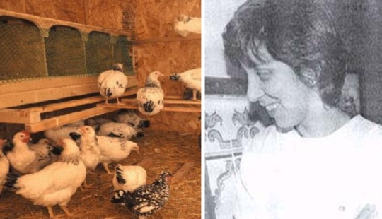 La historia de una "chica gallina" portuguesa que creció en un gallinero