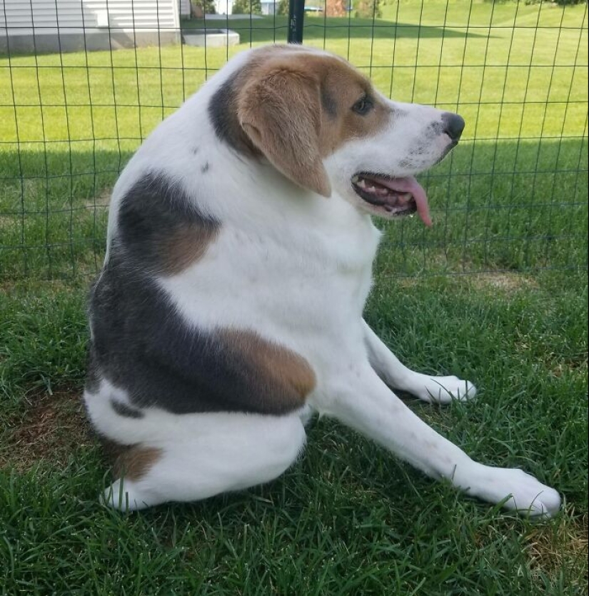 La inspiradora historia de Cooper sobre cómo vivir una vida feliz con un síndrome de columna corta muy poco común