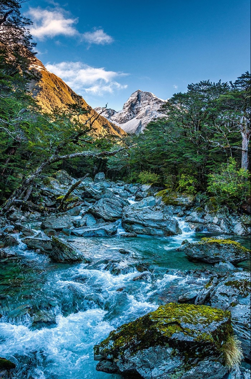 ¡La isla de Yuzhny es un verdadero paraíso en la Tierra!