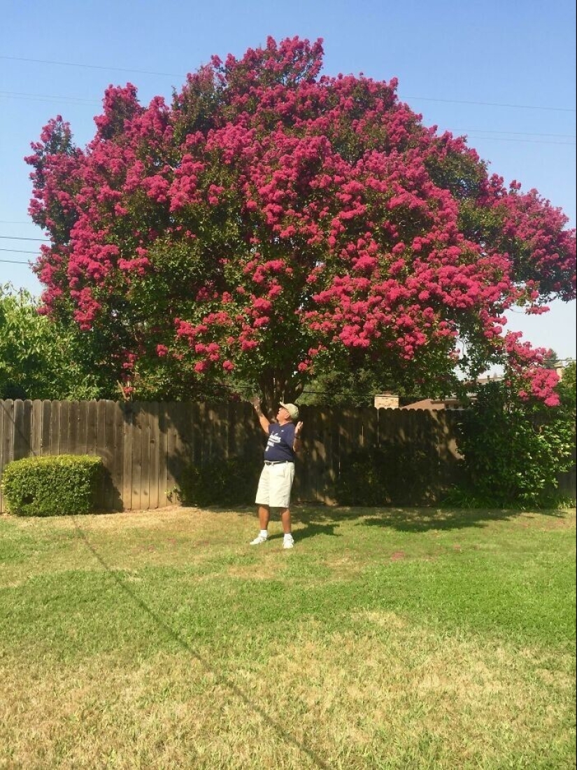 La jardinería es genial! 30 mejores fotos de la comunidad Reddit más grande para jardineros