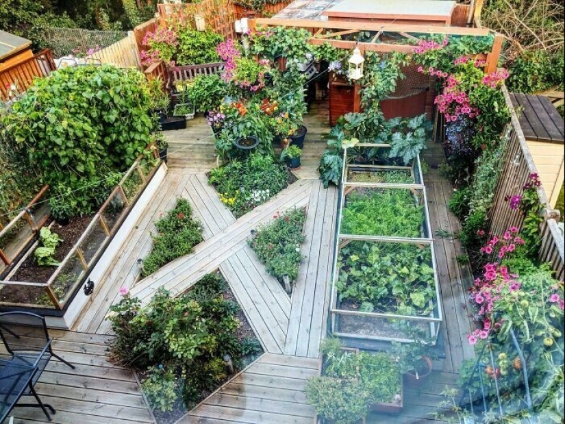 La jardinería es genial! 30 mejores fotos de la comunidad Reddit más grande para jardineros