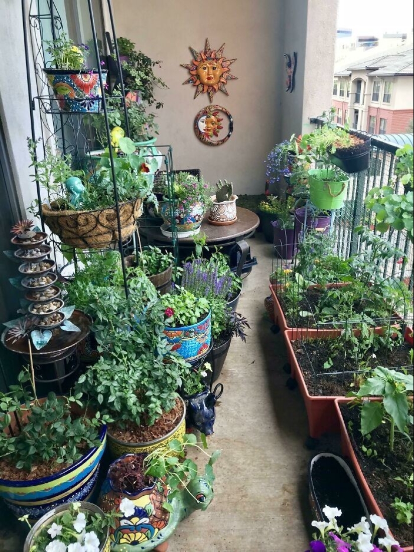 La jardinería es genial! 30 mejores fotos de la comunidad Reddit más grande para jardineros