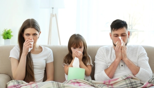 La limpieza es la clave para la salud: 10 consejos sobre cómo prevenir enfermedades debido a la suciedad en la casa