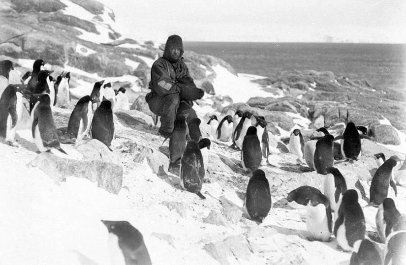 La mayoría de las impresionantes fotos de la Antártida a principios del siglo XX