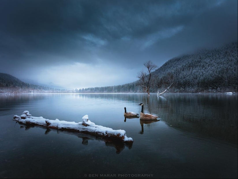 La naturaleza hermosa en las fotos de Ben Marra