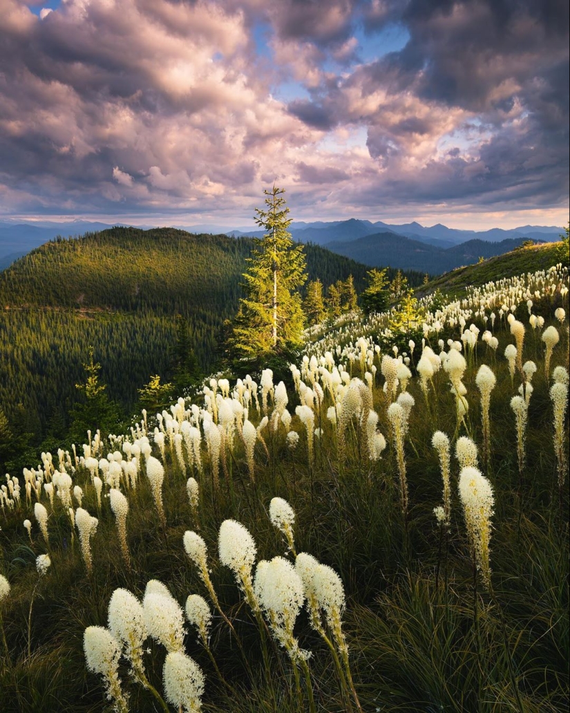 La naturaleza hermosa en las fotos de Ben Marra