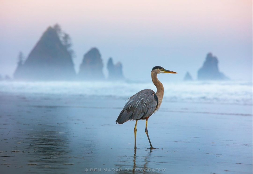 La naturaleza hermosa en las fotos de Ben Marra