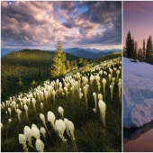 La naturaleza hermosa en las fotos de Ben Marra