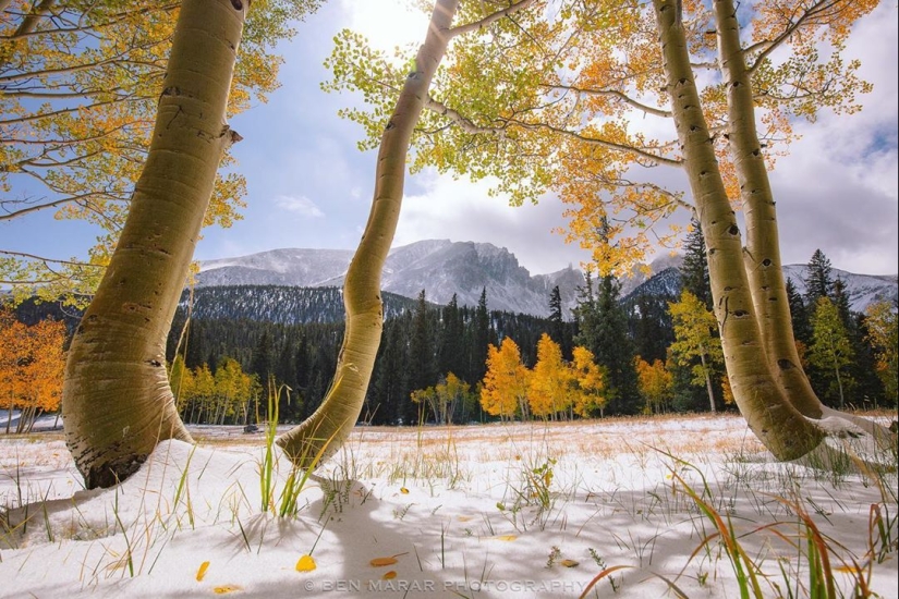 La naturaleza hermosa en las fotos de Ben Marra