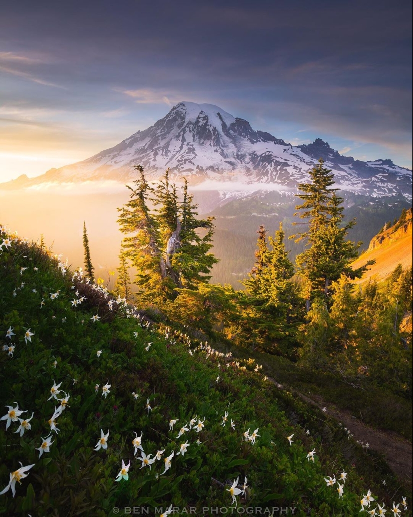 La naturaleza hermosa en las fotos de Ben Marra