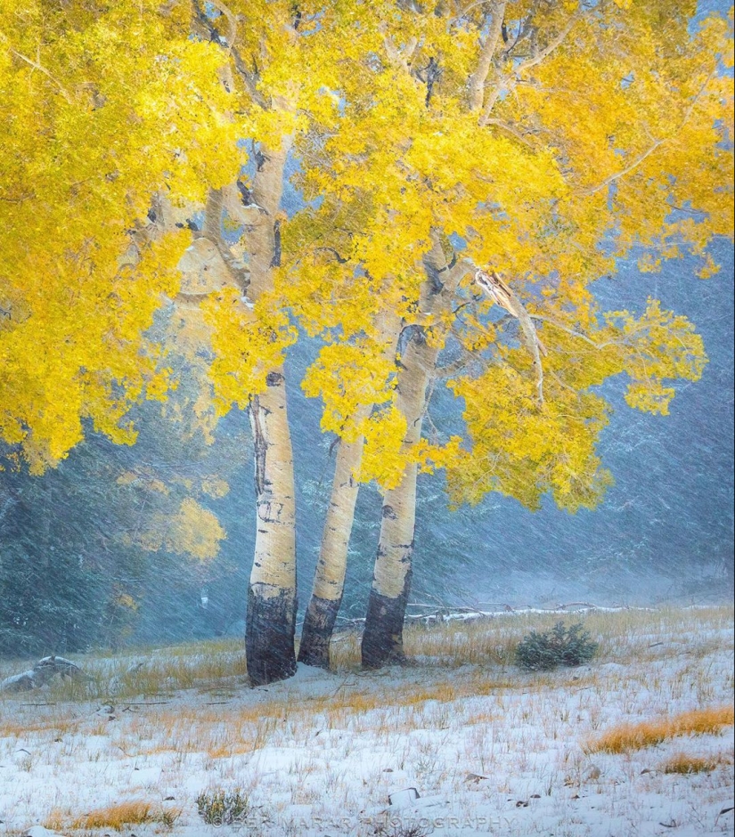 La naturaleza hermosa en las fotos de Ben Marra