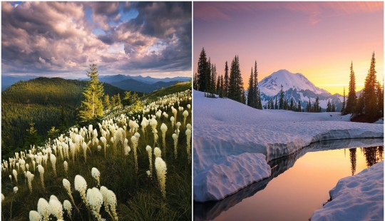 La naturaleza hermosa en las fotos de Ben Marra