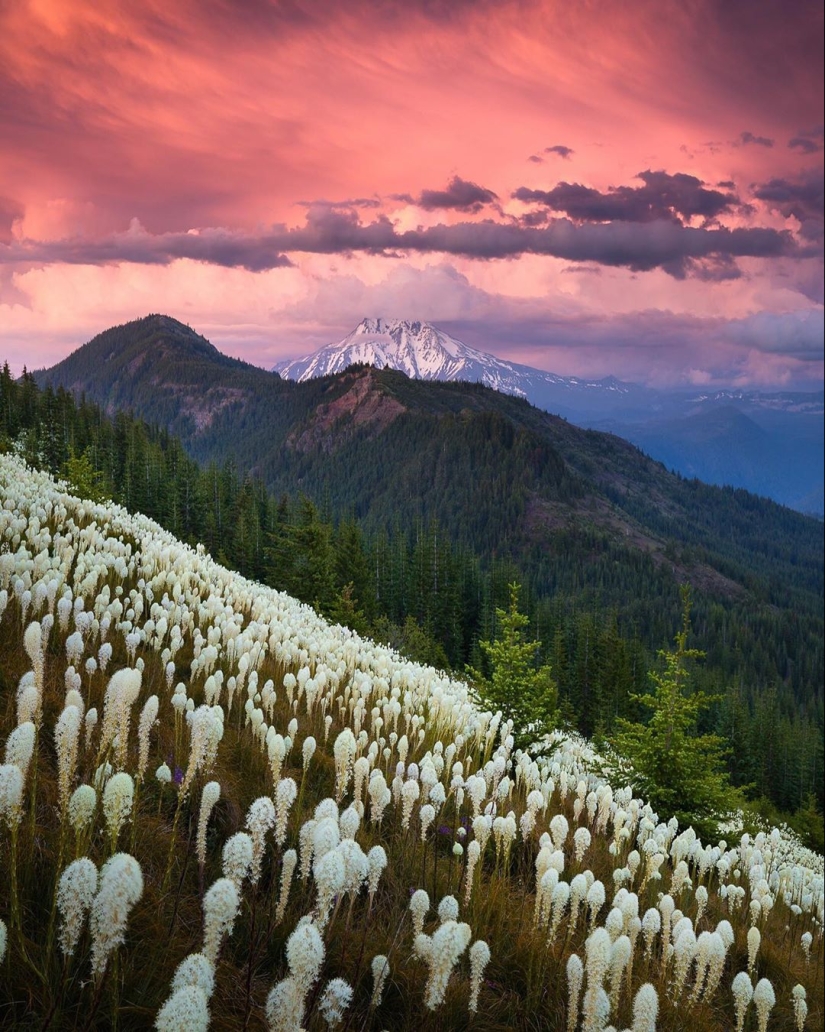 La naturaleza hermosa en las fotos de Ben Marra