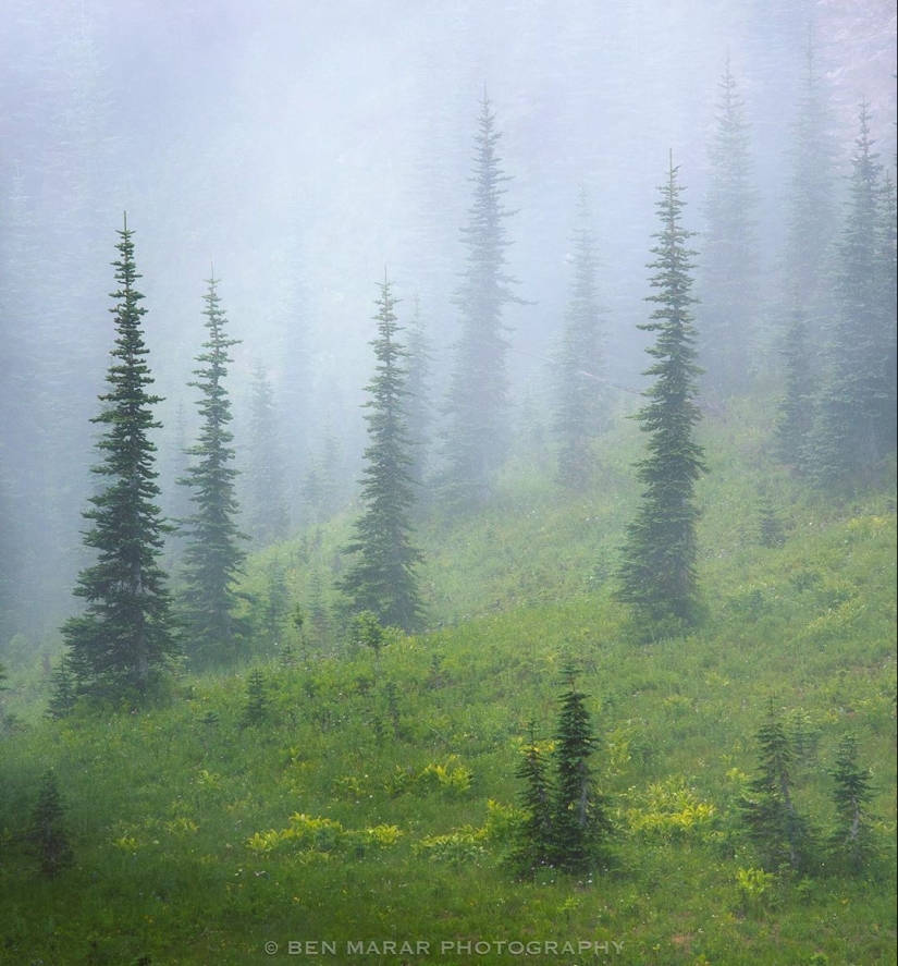 La naturaleza hermosa en las fotos de Ben Marra