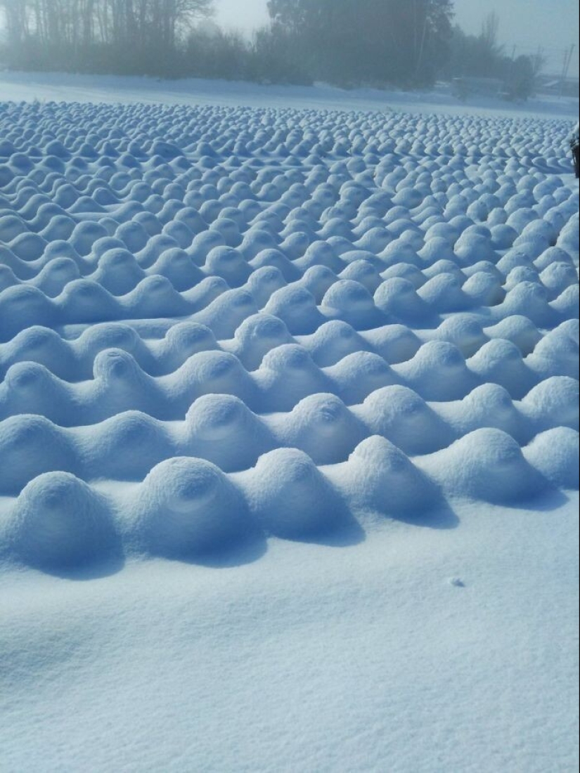 La nieve maravillas que va a ver una vez en tu vida