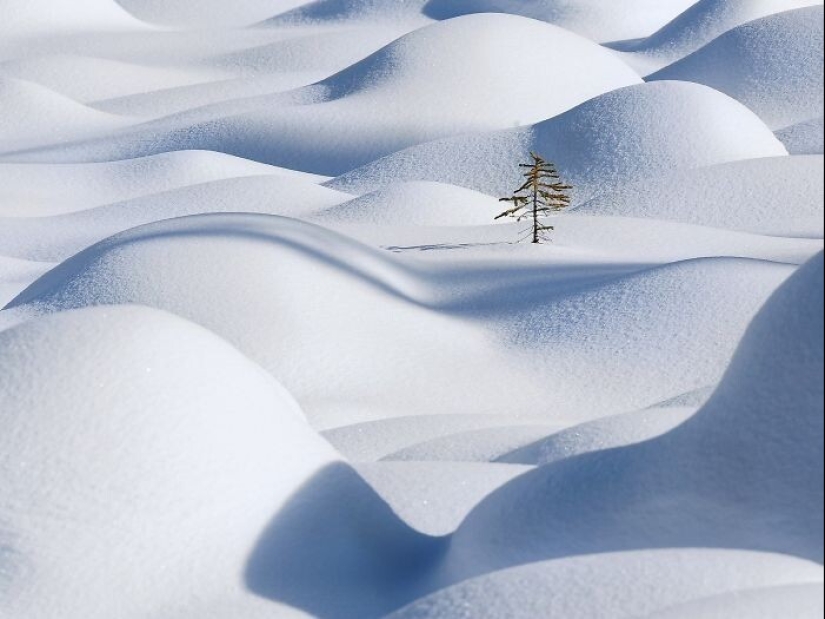 La nieve maravillas que va a ver una vez en tu vida