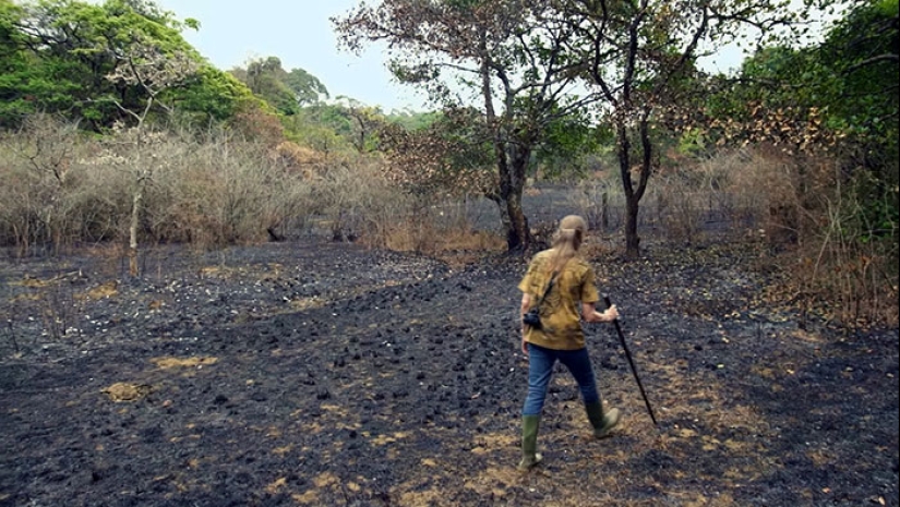 La pareja pasó 30 años restaurando la reserva, replantando la selva tropical