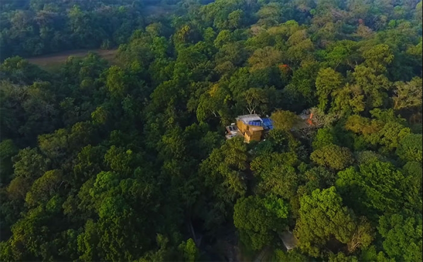 La pareja pasó 30 años restaurando la reserva, replantando la selva tropical