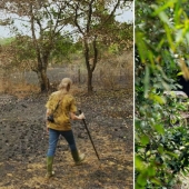 La pareja pasó 30 años restaurando la reserva, replantando la selva tropical