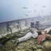 La vida en un barco hundido: el mundo submarino del fotógrafo y buceador Andreas Franke