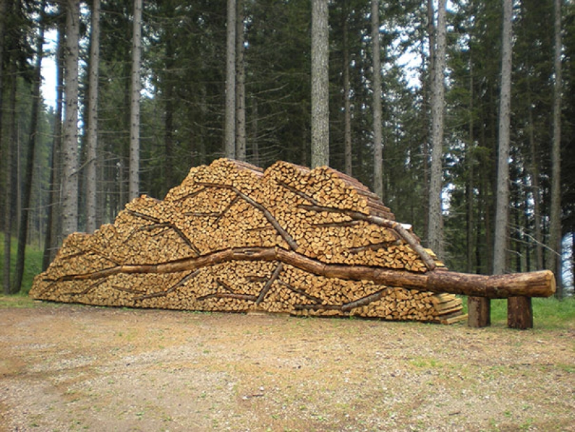 Laicos bellamente la madera — arte