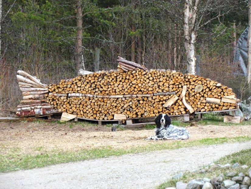 Laicos bellamente la madera — arte