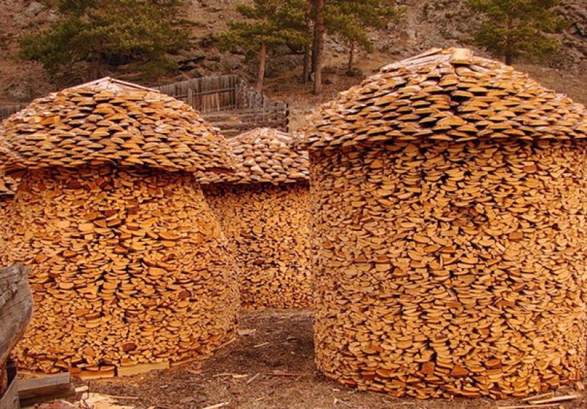 Laicos bellamente la madera — arte