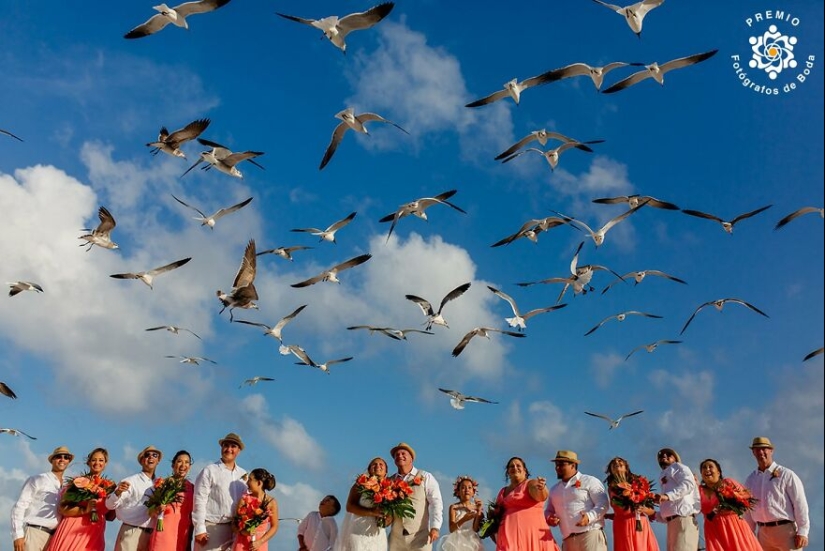 Las 12 fotos de bodas más increíbles del 2024 seleccionadas por los Premios FdB