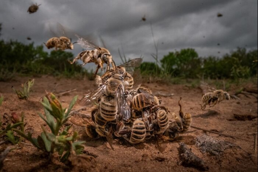 Las 15 mejores fotografías de 2024 según los Siena International Photo Awards