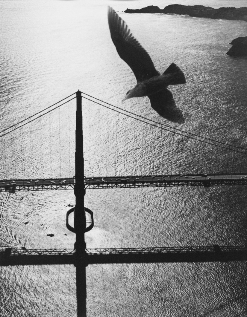 Las calles de San Francisco en las décadas de 1940 y 60 en imágenes de Fred Lyon